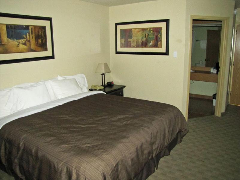 Quality Inn & Suites Winkler Room photo